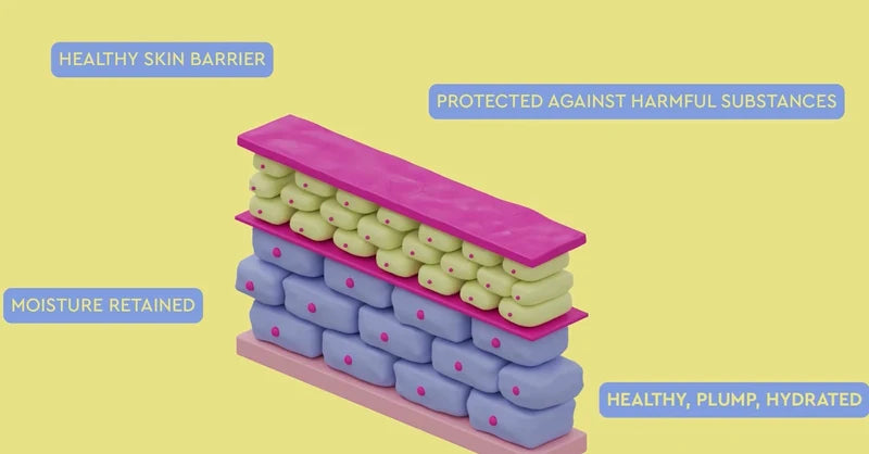Vidéo sur la barrière cutanée endommagée